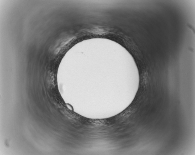 X0000103471205200810100927
