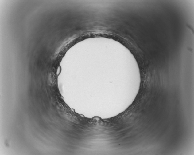 X0000103471207200810100927