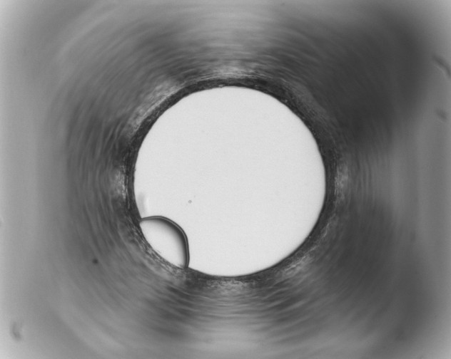 X0000103471209200810100927