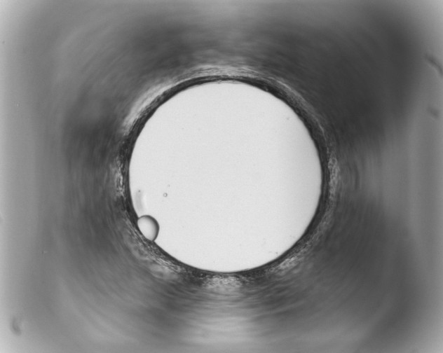 X0000103471215200810100927