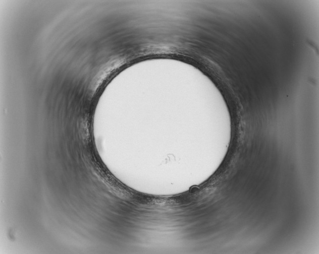 X0000103471218200810100927
