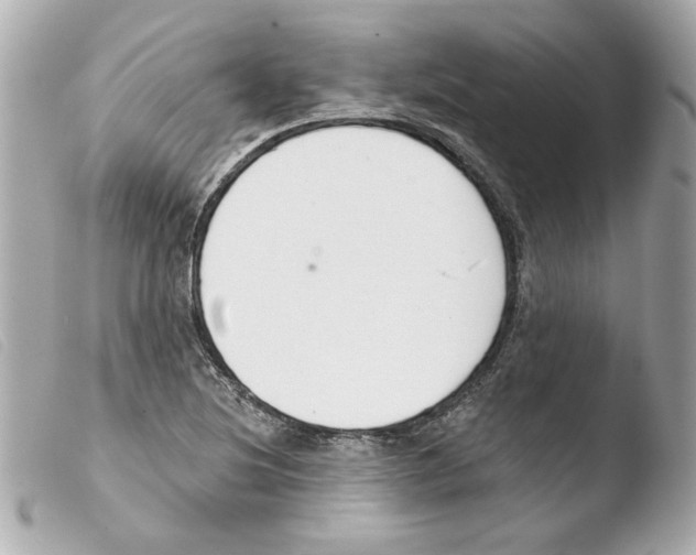 X0000103471220200810100927
