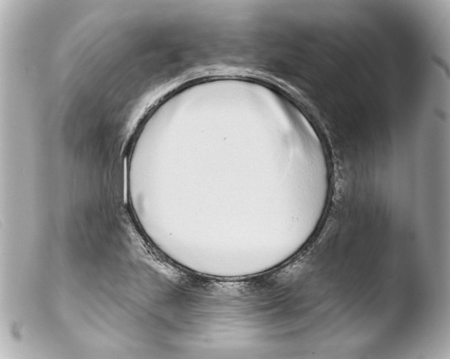 X0000103471223200810100927