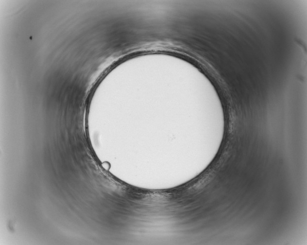 X0000103471224200810100927