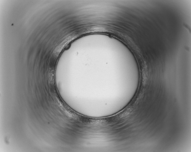 X0000103471225200810100927