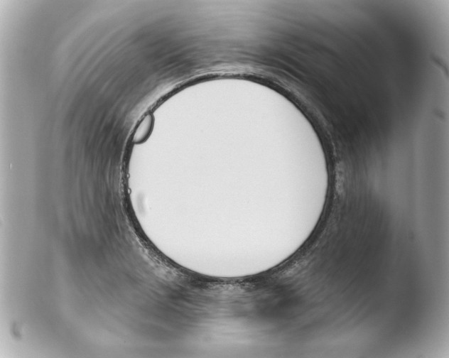 X0000103471229200810100927