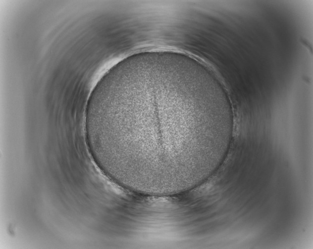 X0000103471231200810100927