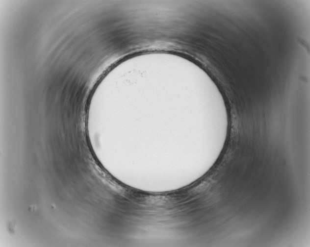 X0000103471232200810100927