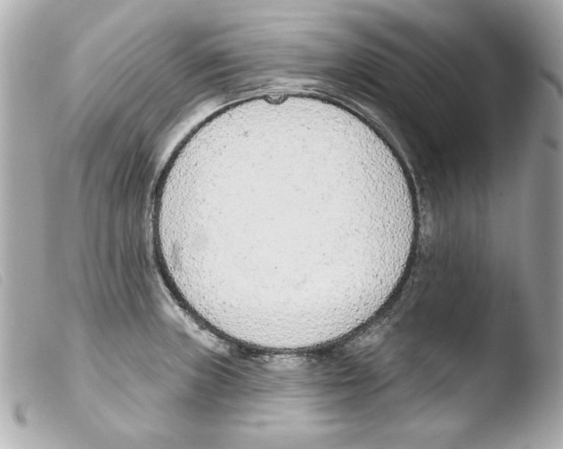 X0000103471235200810100927