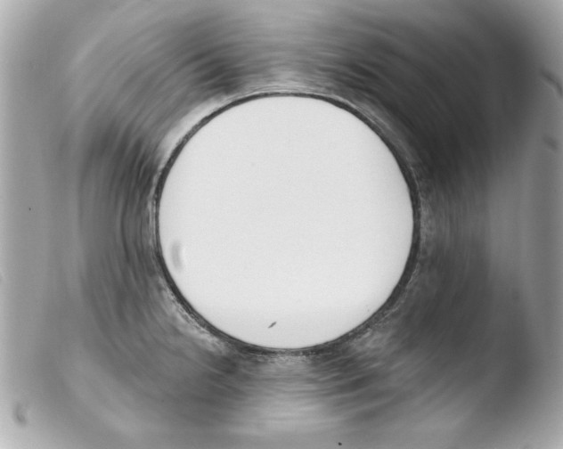 X0000103471238200810100927