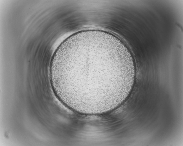 X0000103471239200810100927