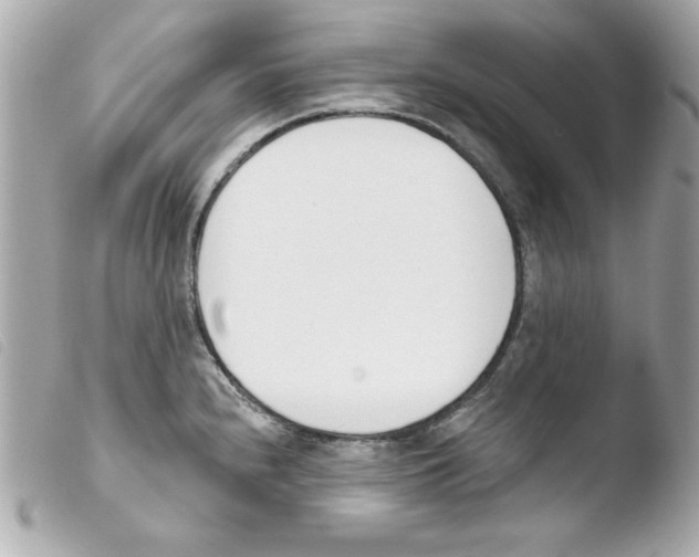X0000103471240200810100927