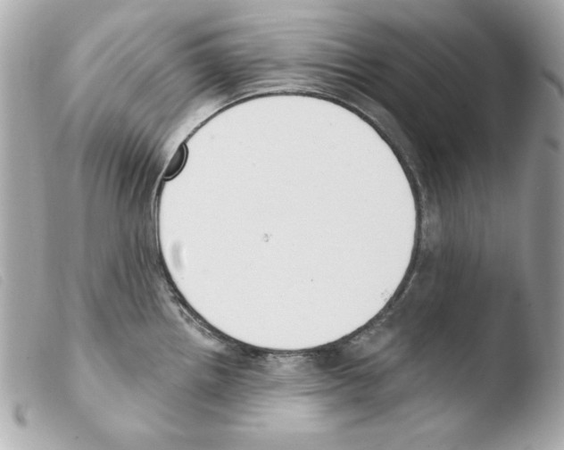 X0000103471242200810100927