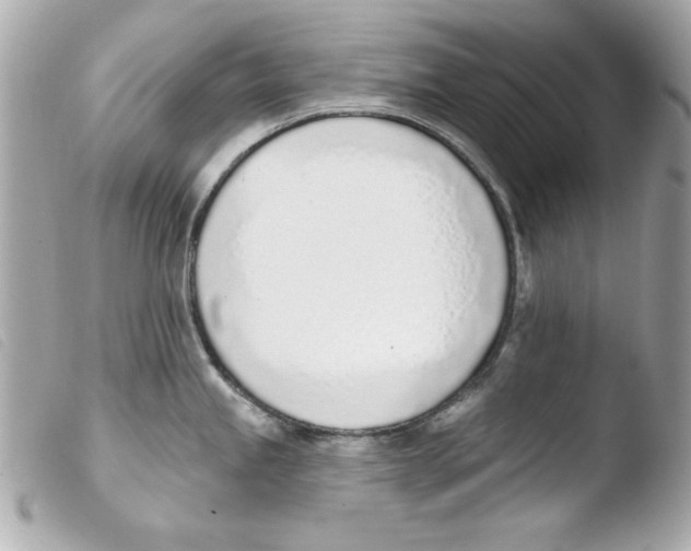 X0000103471245200810100927