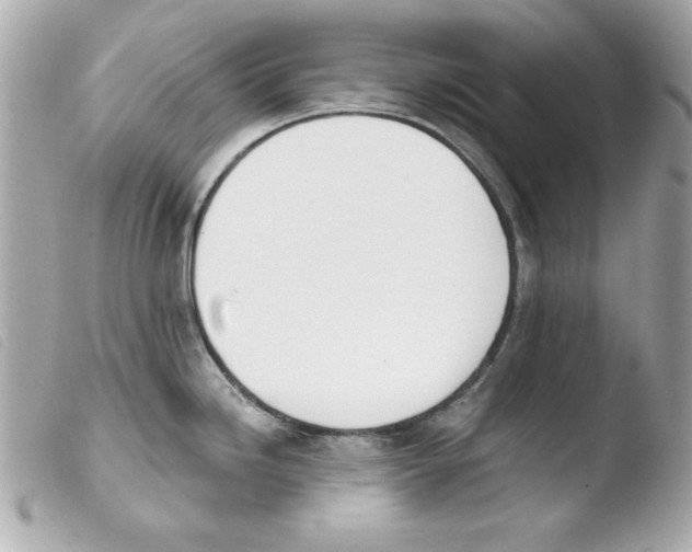 X0000103471246200810100927