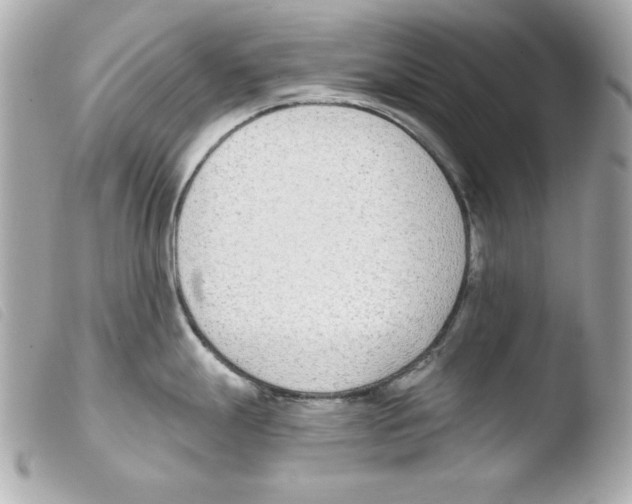 X0000103471247200810100927