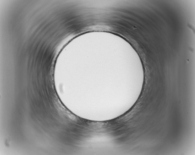 X0000103471248200810100927