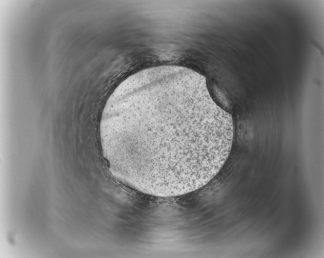 X0000103471249200810100927