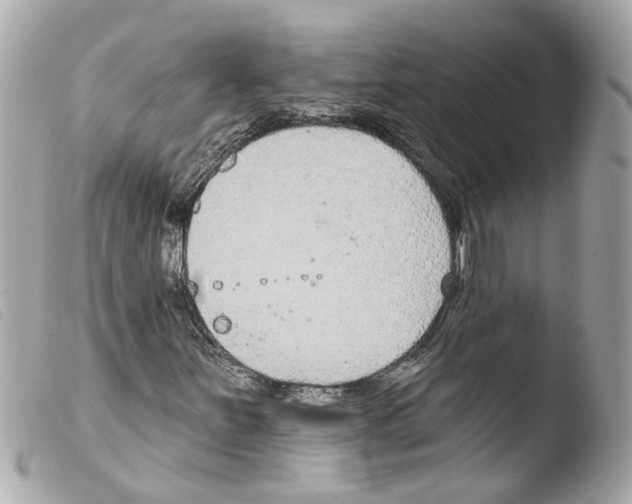 X0000103471251200810100927