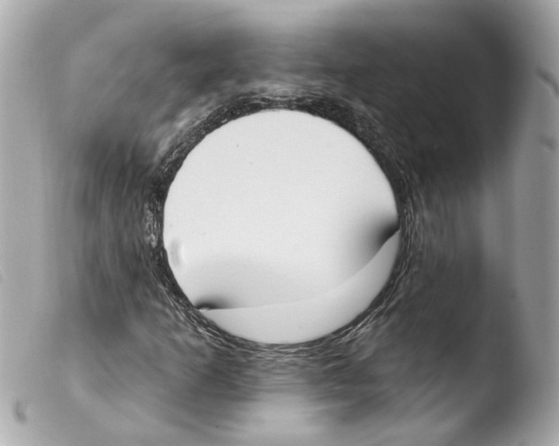 X0000103471253200810100927