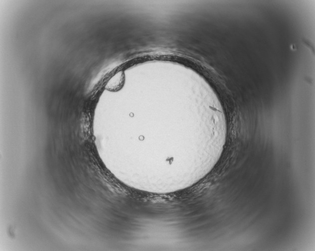 X0000103471255200810100926
