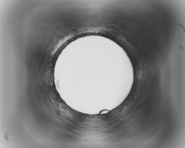 X0000103471256200810100926