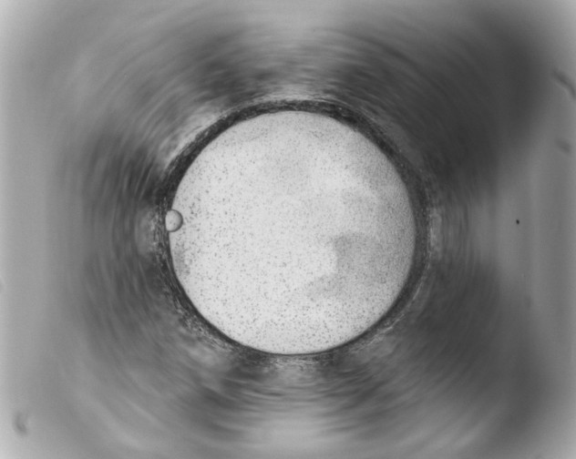 X0000103471258200810100926