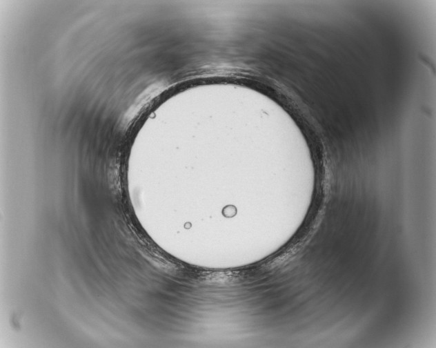 X0000103471259200810100926