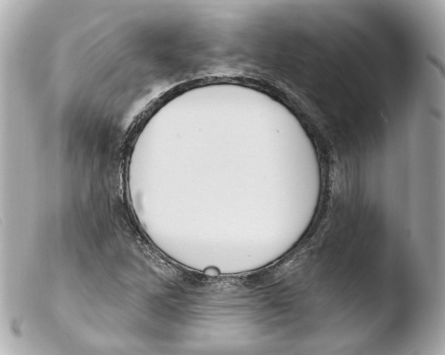 X0000103471262200810100926
