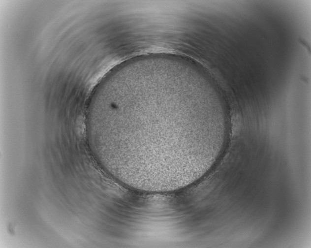 X0000103471266200810100926