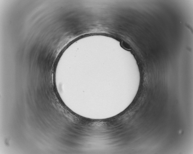 X0000103471268200810100926