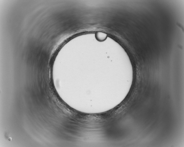 X0000103471270200810100926