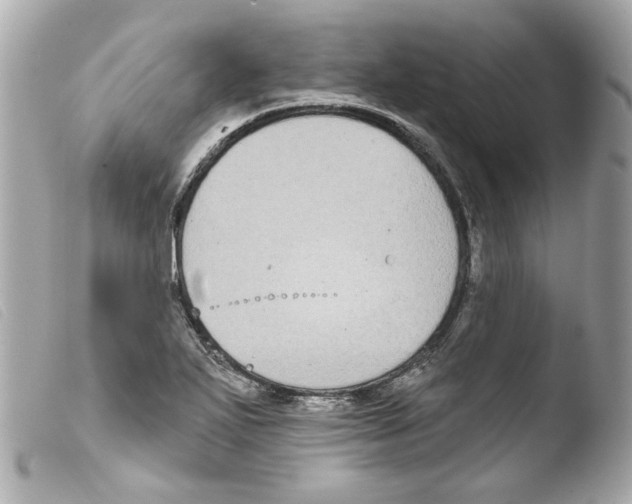 X0000103471271200810100926