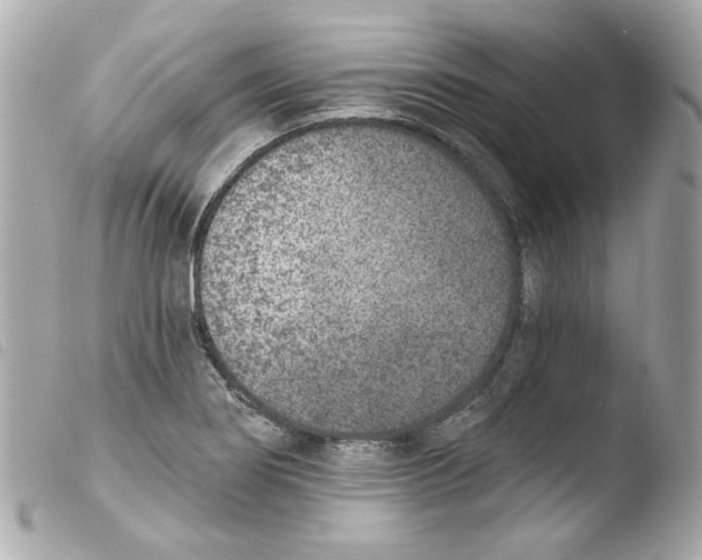 X0000103471274200810100926