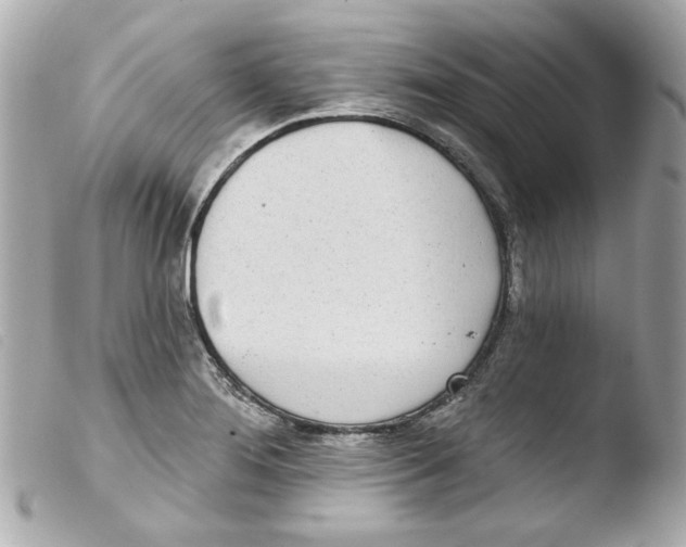 X0000103471276200810100926