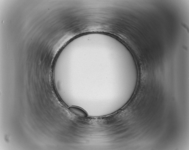 X0000103471277200810100926