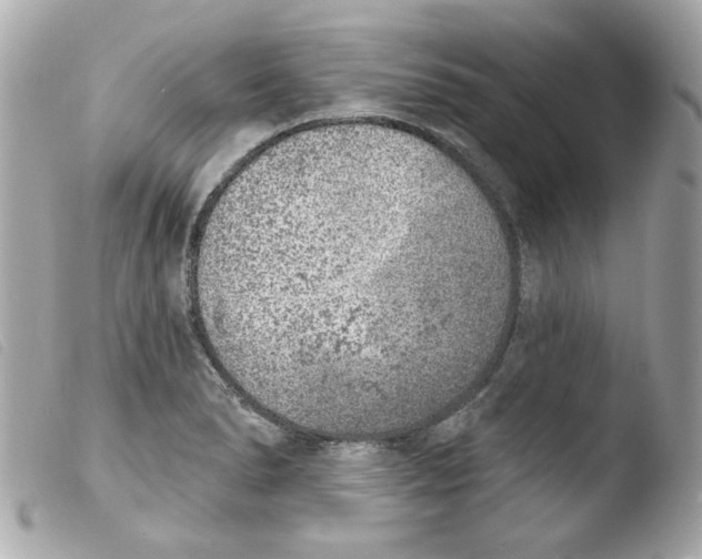 X0000103471278200810100926