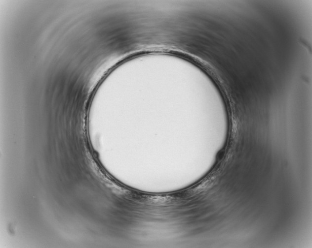 X0000103471279200810100926