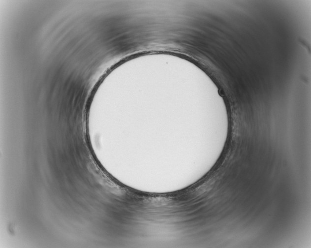 X0000103471280200810100926