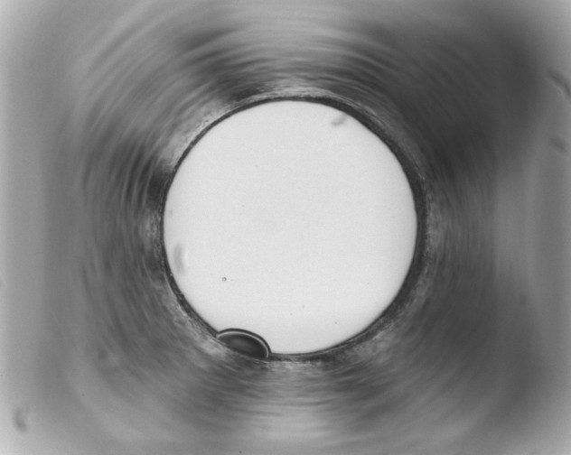 X0000103471281200810100926