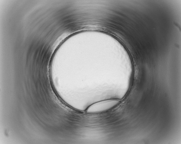 X0000103471283200810100926