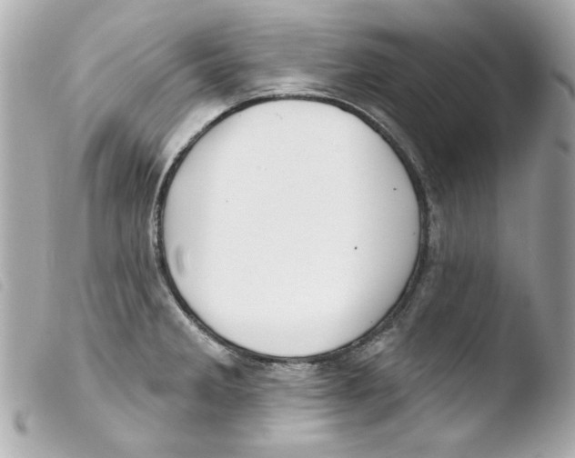 X0000103471285200810100926