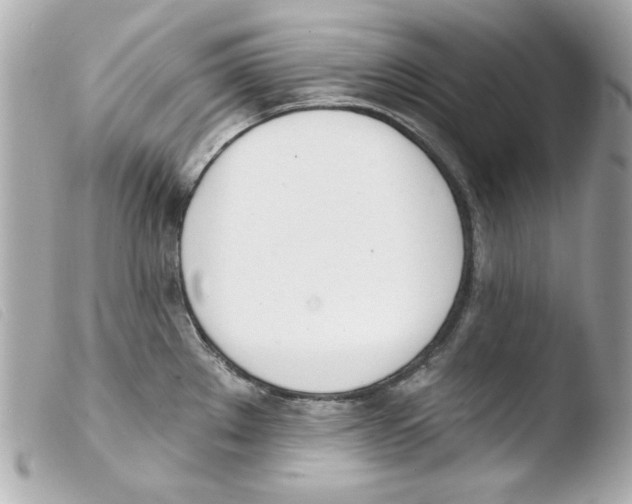 X0000103471289200810100926