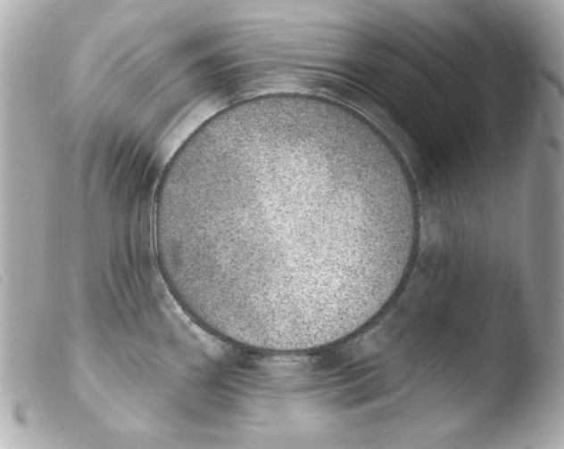 X0000103471290200810100926