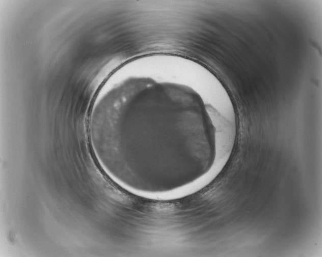 X0000103471291200810100926