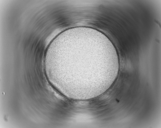X0000103471294200810100926