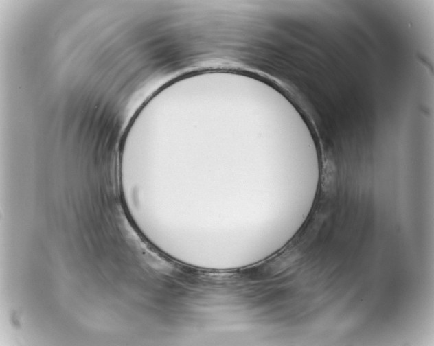 X0000103471295200810100926