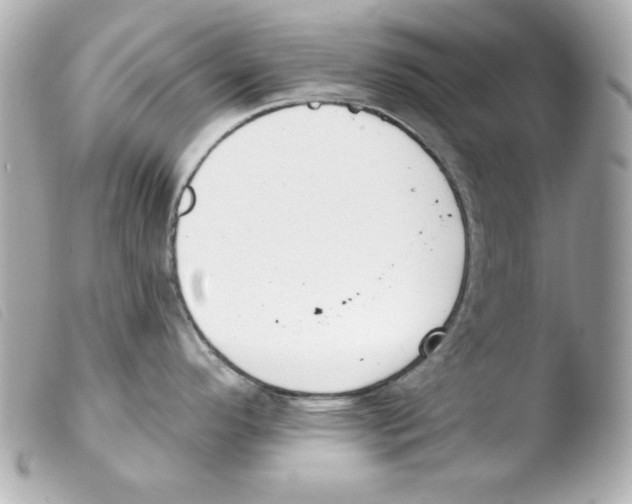 X0000103471296200810100926