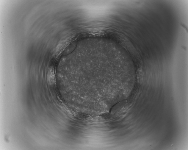X0000103471298200810100925
