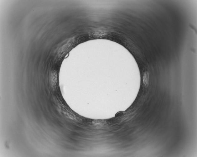 X0000103471299200810100925